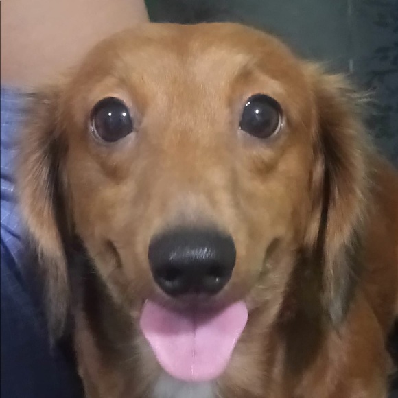 alvinso